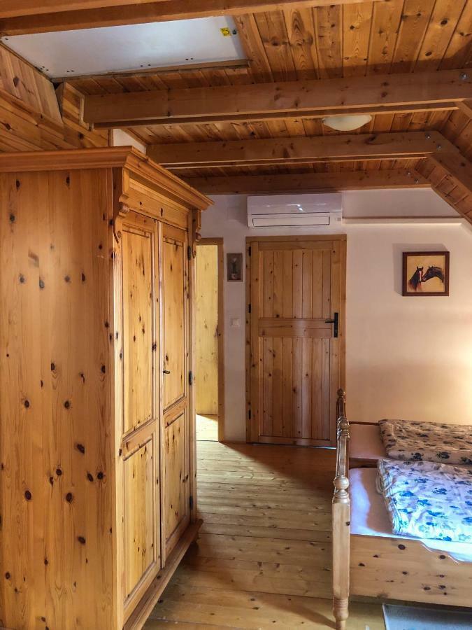 Apartment Tulipanos Vendeghaz