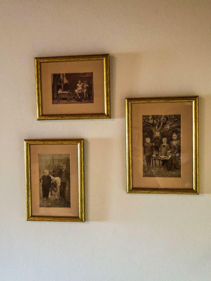 Apartment Tulipanos Vendeghaz